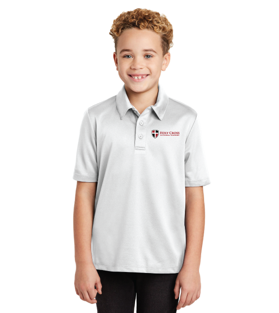 hawker rye hartford performance polo